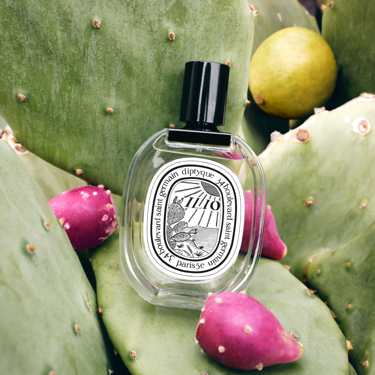 Diptyque - Ilio Eau de Toilette mit schwarzem Verschluss auf Kaktusfeigenblättern und Früchten