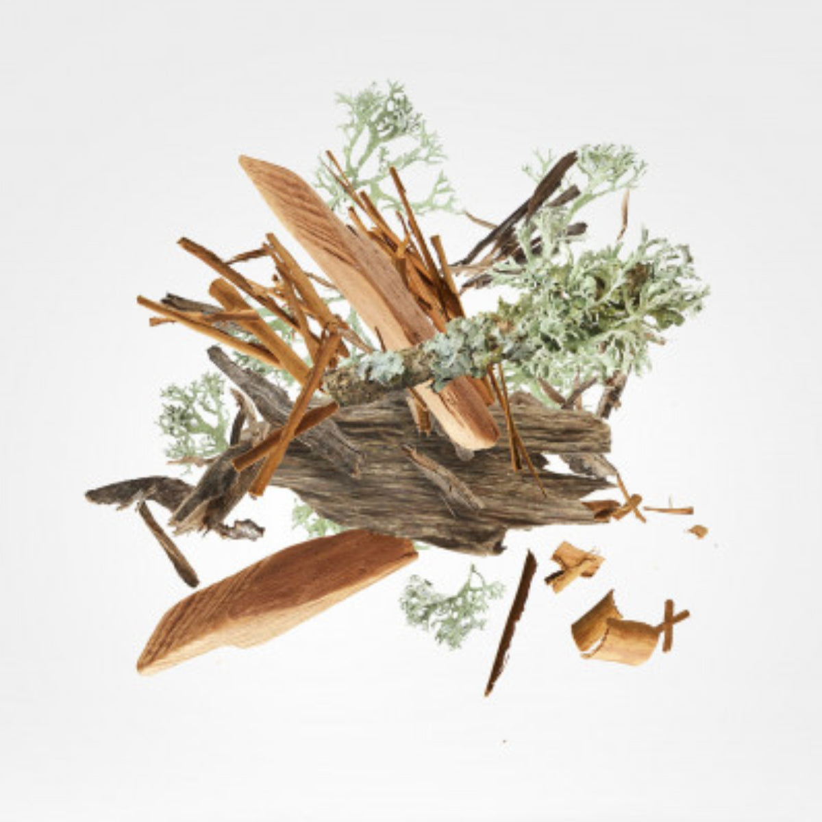 Xerjoff - K Collection - 'Ilm zeigt natürliche Holz- und Moosnoten als Inspiration für den Duftcharakter