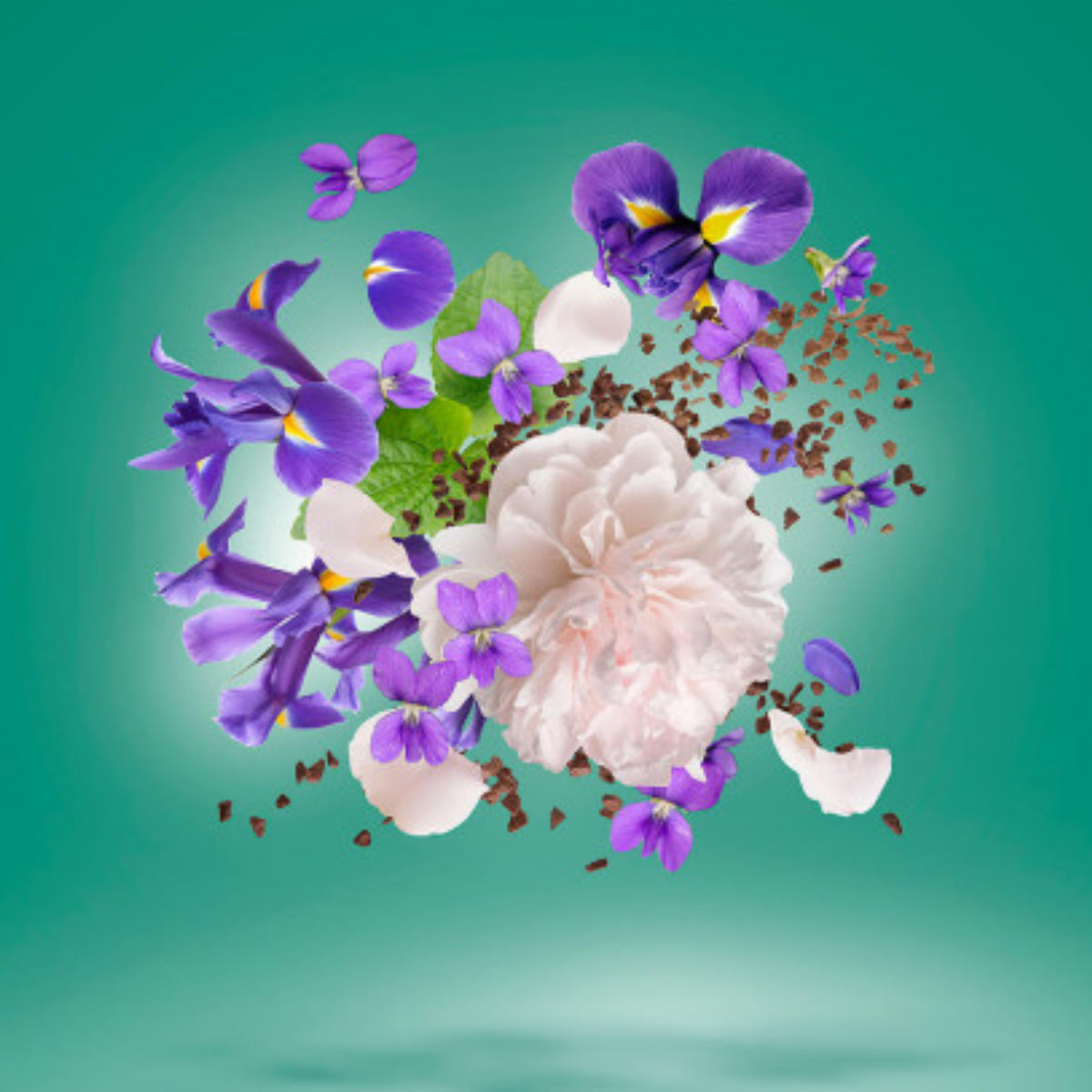 Xerjoff - XJ 17/17 - Stone Label - Irisss zarte Iris- und Veilchenblüten vor grünem Hintergrund schwebend arrangiert