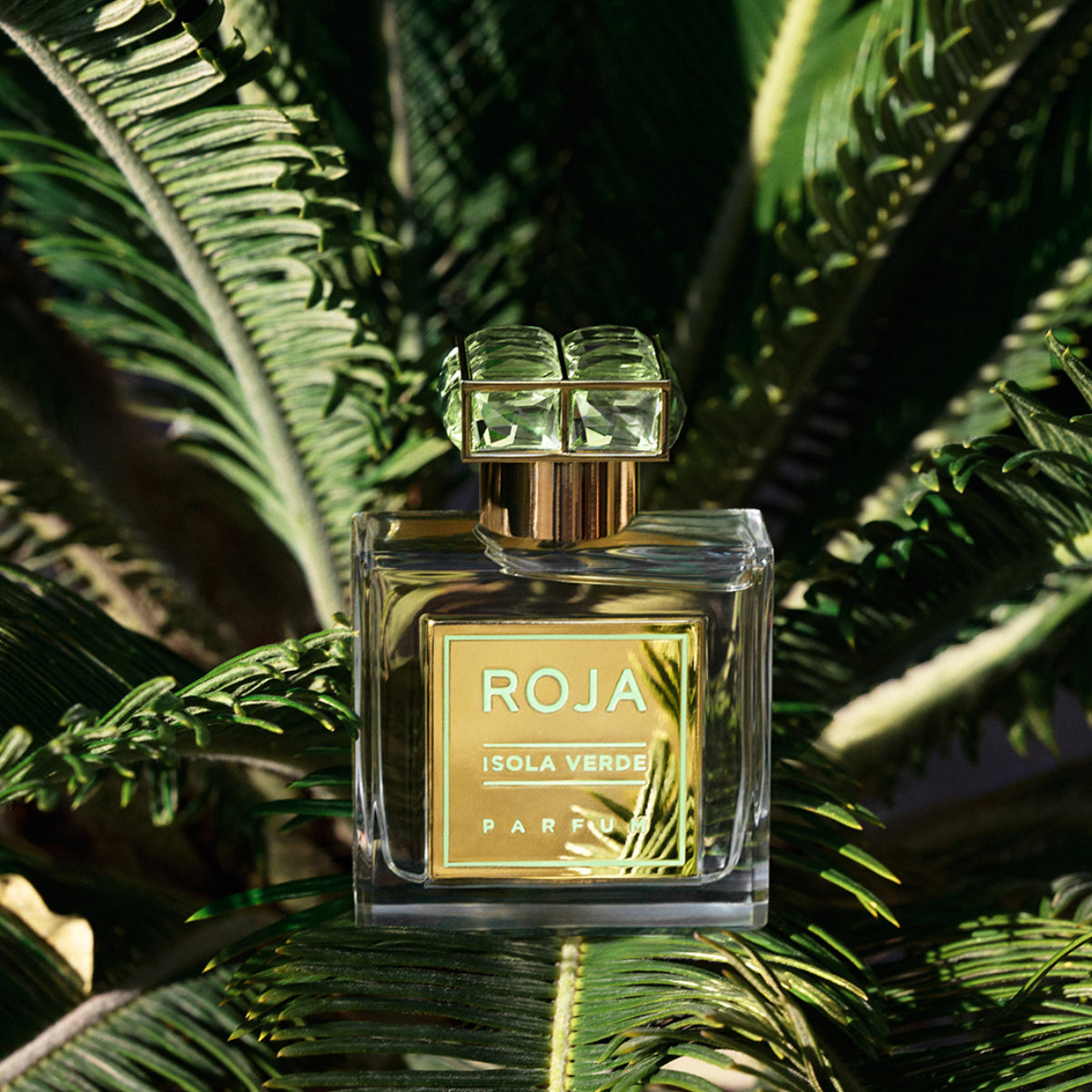 Roja Parfums - Isola Verde Parfumflakon mit goldfarbenem Etikett auf tropischem Blattwerk in natürlichem Licht