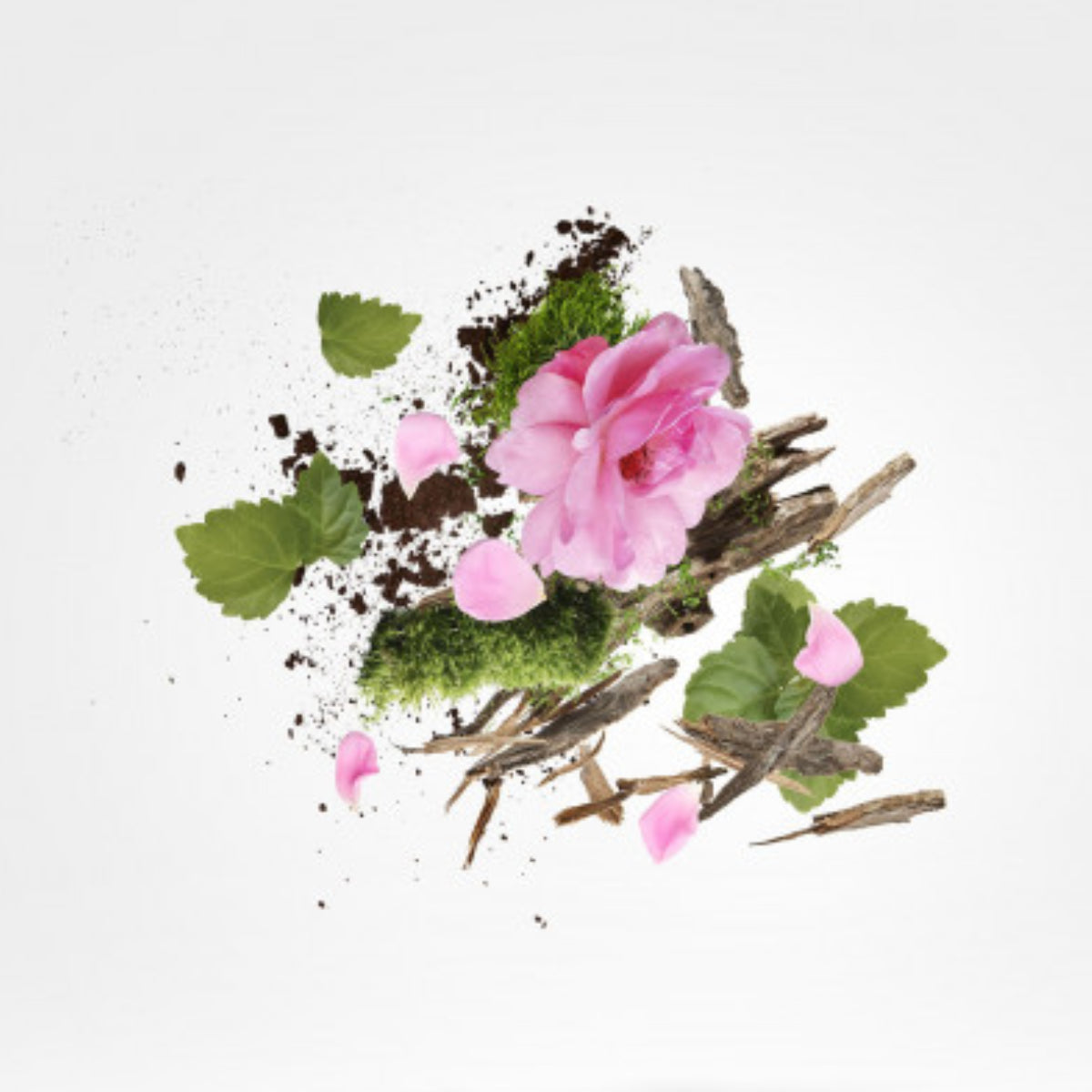 Xerjoff - K Collection - Jãbir zeigt florale und erdige Duftnoten mit Rosenblättern, Moos und holzigen Elementen elegant arrangiert