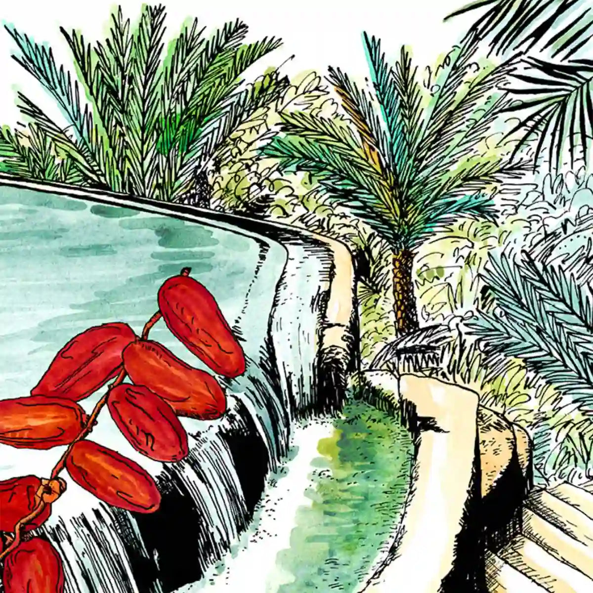 Une Nuit Nomade - Une Nuit a Oman - Jardins de Misfah Illustration mit Wasserfall, Dattelfrüchten und üppigem Palmenlaub