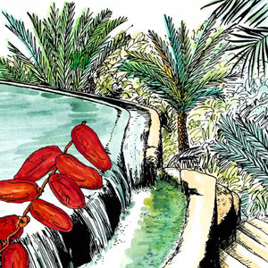 Une Nuit Nomade - Une Nuit a Oman - Jardins de Misfah Illustration mit Wasserfall, Dattelfrüchten und üppigem Palmenlaub