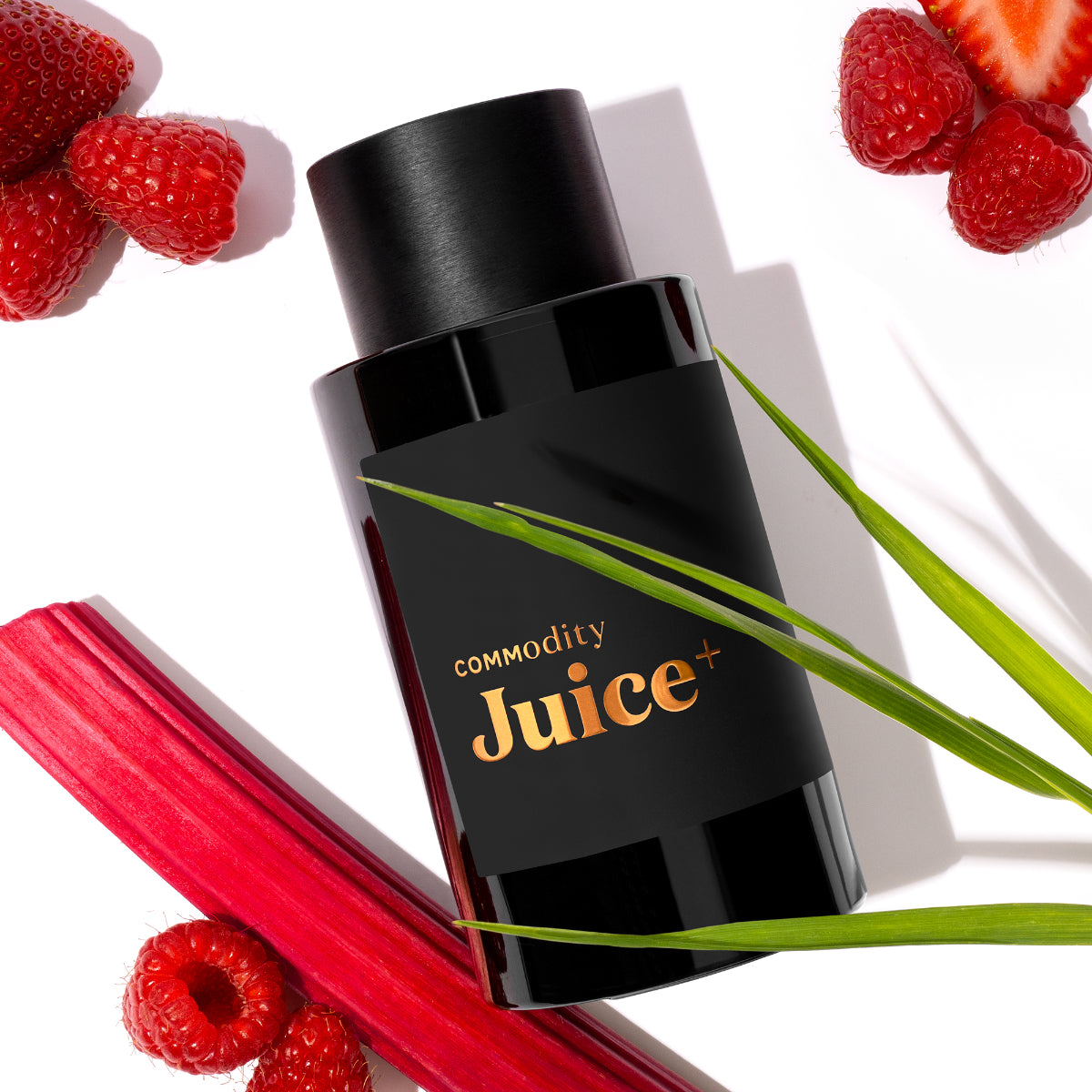 Commodity - Juice+ schwarzer Flakon mit kupferfarbenem Logo umgeben von Rhabarber, Erdbeeren und Himbeeren auf weißem Hintergrund