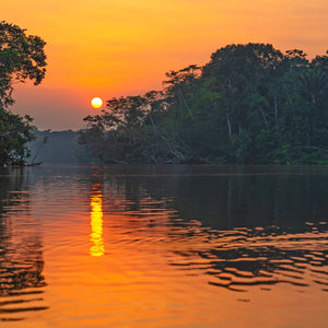 Olfattology - Juruá Sonnenuntergang über dem Amazonasfluss mit dichtem Regenwald und goldenem Wasserspiegel