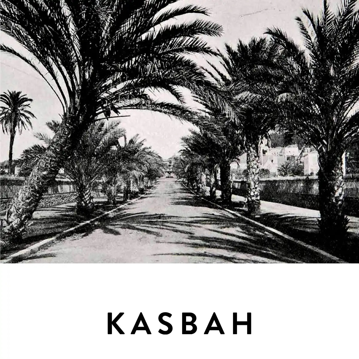 19-69 - Kasbah Schwarz-Weiß-Ansicht einer von Palmen gesäumten Allee mit marokkanischem Flair aus den 1960er Jahren