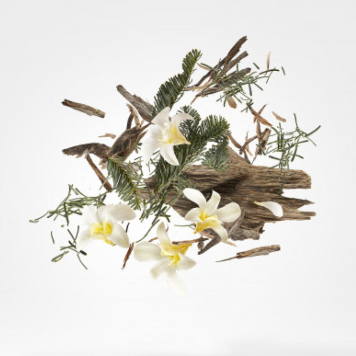 Xerjoff - K Collection - Kemi zeigt natürliche Duftkomposition mit Adlerholz, zarten Blüten und würzigen Zweigen elegant arrangiert