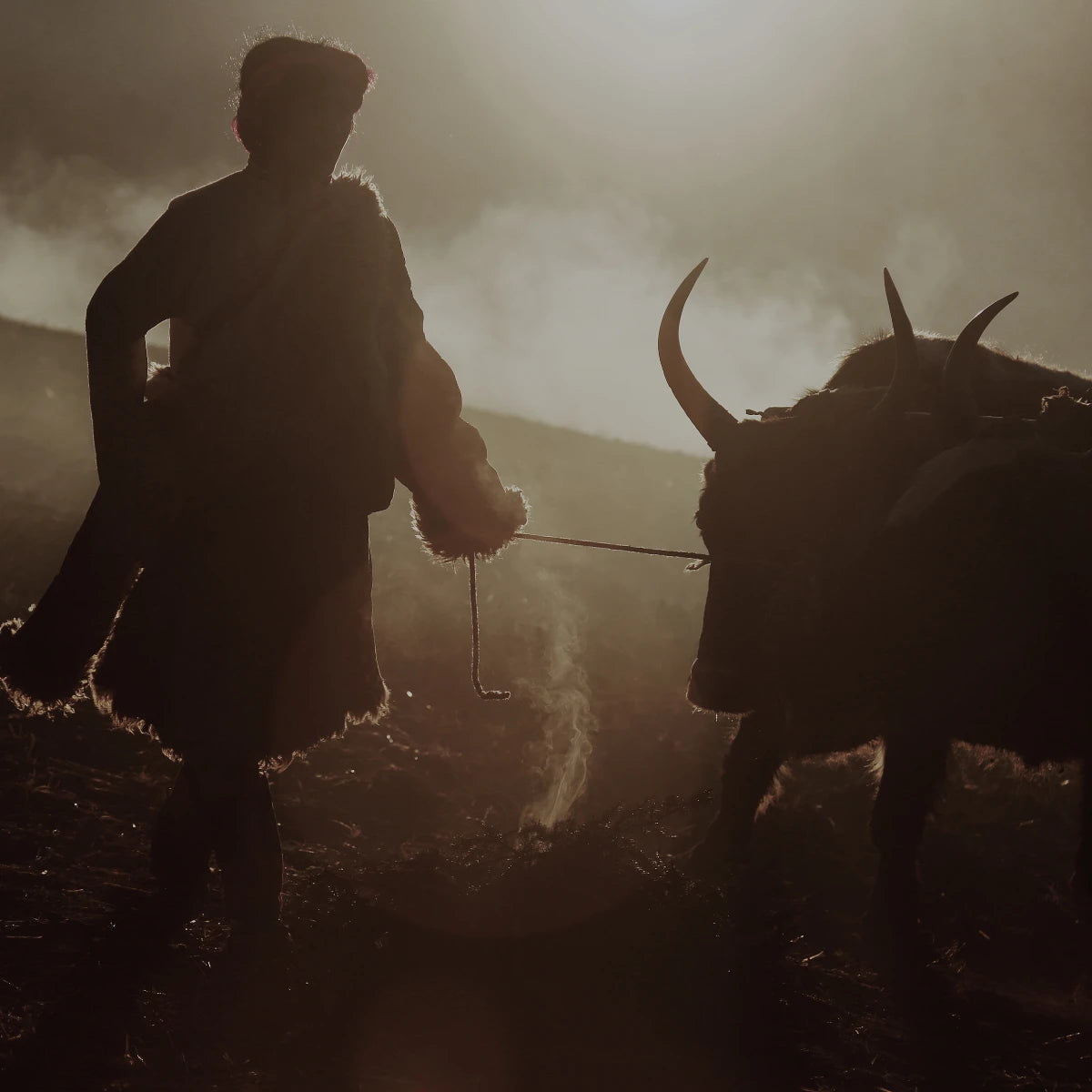 Hima Jomo - Treasures - Khullu zeigt einen Nomaden mit Yak vor nebligem Hintergrund in gedämpftem Licht