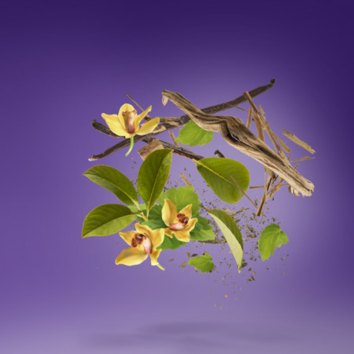 Xerjoff - Vibe - Laylati mit asiatischen Blüten und holzigen Elementen vor violettem Hintergrund schweben
