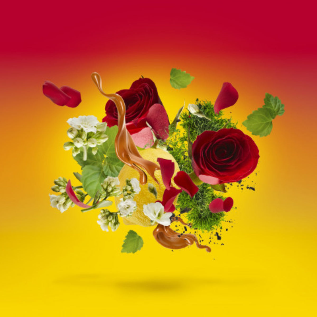 Xerjoff - Casamorati 1888 - Levar del Sole sinnliche Komposition aus Rosen, Blüten und warmen Sonnenakzenten vor leuchtendem Hintergrund