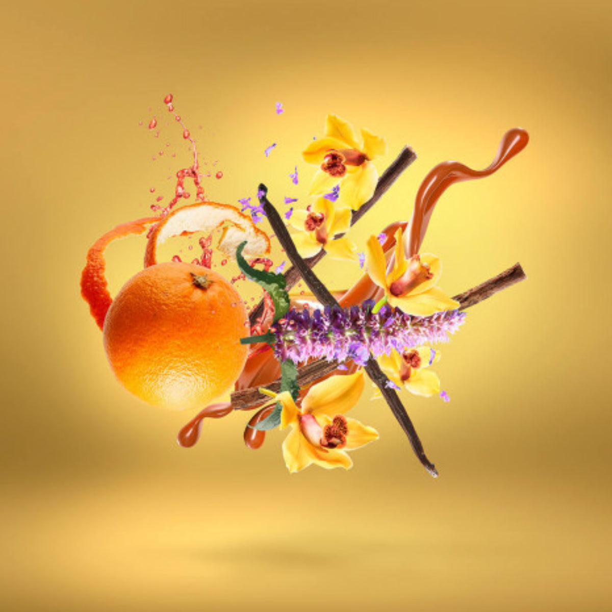 Xerjoff - Casamorati 1888 - Lira mit Orangenakzent, Vanilleschoten, Lavendelblüten und Gewürzextrakten vor gelbem Hintergrund