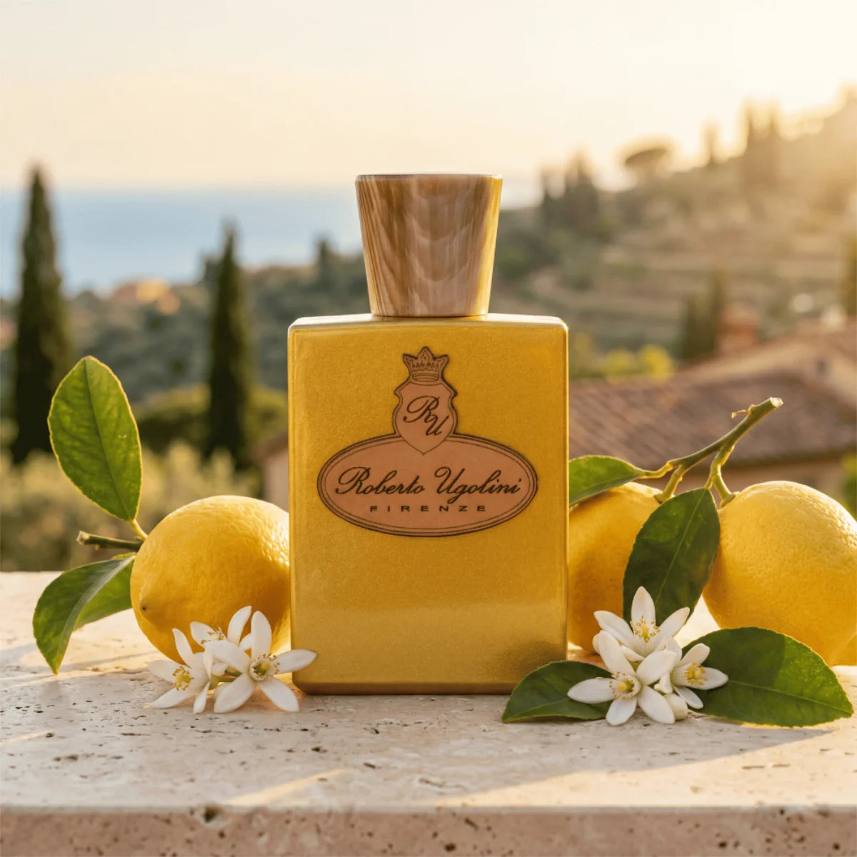 Roberto Ugolini - Limonaia