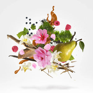 Xerjoff - Blends - Louis XV 1722 Rosé mit stilvoller Komposition aus Birne, Himbeere, Blumen und grünen Akzenten