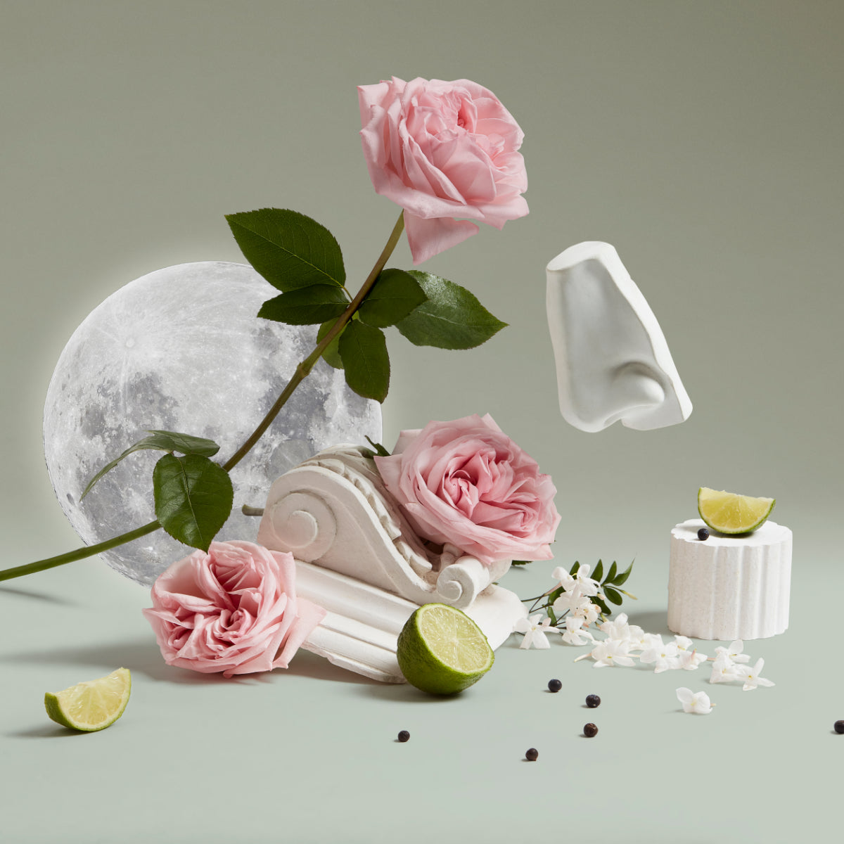 Penhaligon's - British Tales - Luna Arrangement mit rosa Rosen, Mondmotiv, Limettenstücken und skulpturalen Elementen elegant inszeniert