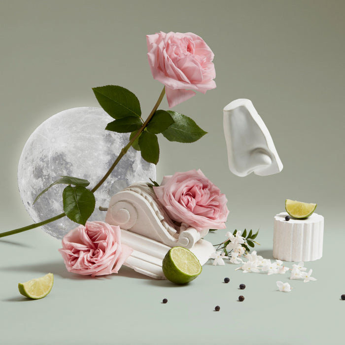 Penhaligon's - British Tales - Luna Arrangement mit rosa Rosen, Mondmotiv, Limettenstücken und skulpturalen Elementen elegant inszeniert