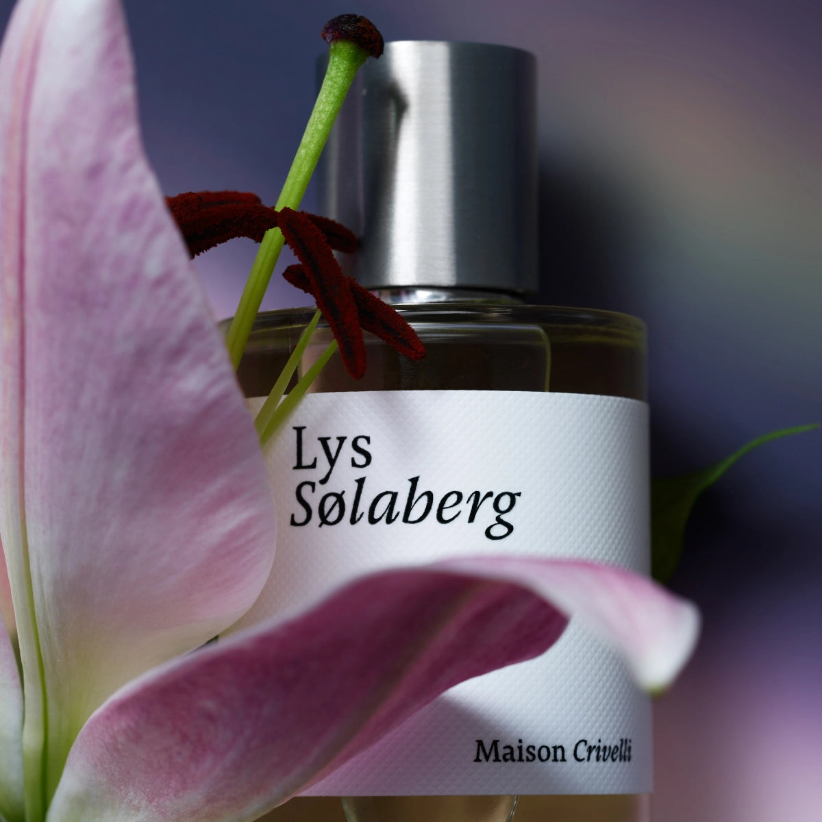Maison Crivelli - Lys Sølaberg