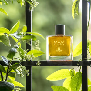 bogue Profumo - MAAI klarer Flakon mit goldenem Duft vor grünem, natürlichem Hintergrund auf Fenstergitterrahmen