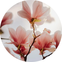 Flowery