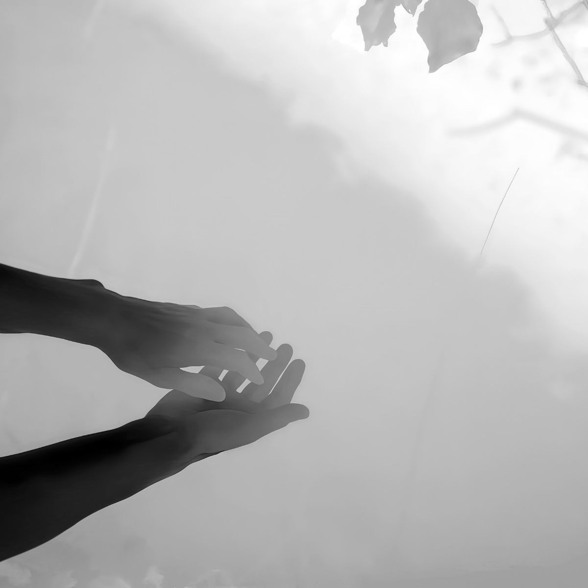 Comme des Garçons - Max Richter 01 symbolische Handhaltung vor diffuser, nebliger Kulisse mit Blättern oben rechts