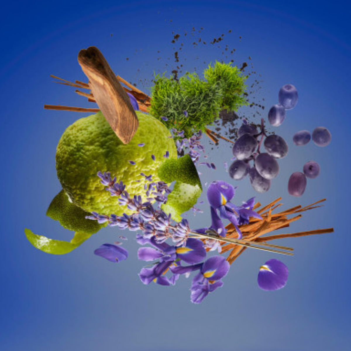 Xerjoff - Casamorati 1888 - Mefisto grüne Zitrusfrucht, Lavendel, Holz und violette Blüten vor blauem Hintergrund