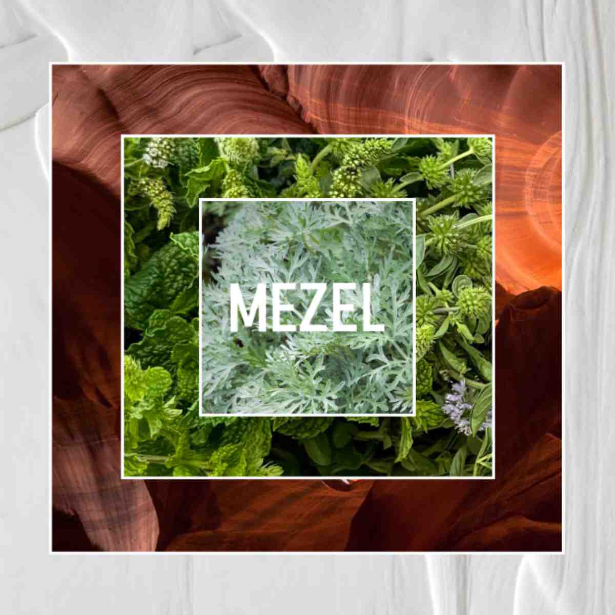 Mezel Paris - Menthe Enivrante