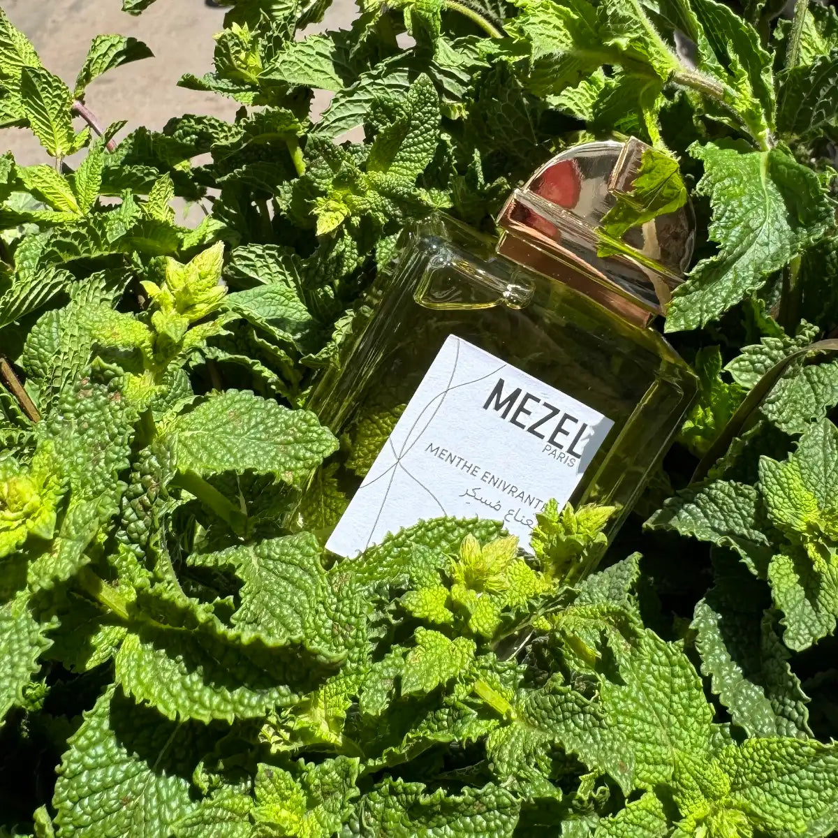 Mezel Paris - Menthe Enivrante Parfumflakon eingebettet in frische grüne Minzblätter bei Sonnenschein