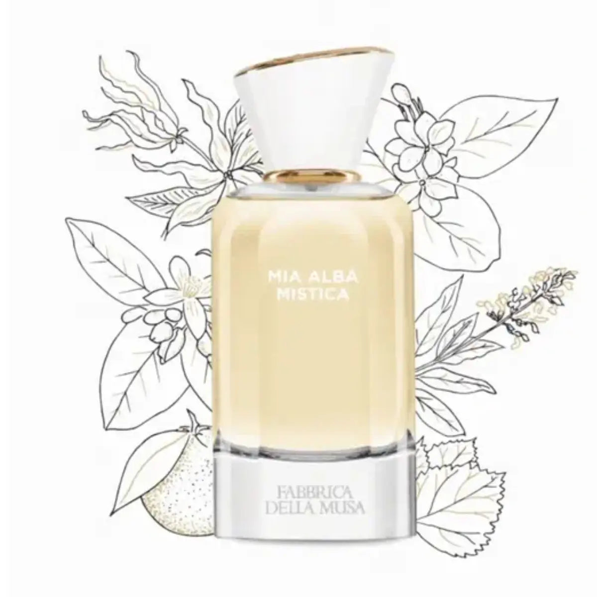 Fabbrica della Musa - Mia Alba Mistica Flakon mit heller Flüssigkeit und weiß-goldenem Verschluss vor botanischer Zeichnung