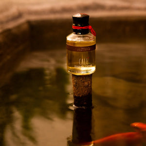 Calé Fragranze d'Autore - Mistero Flakon mit rotem Band auf Baumstamm über ruhigem Wasser stehend, stimmungsvolle Atmosphäre