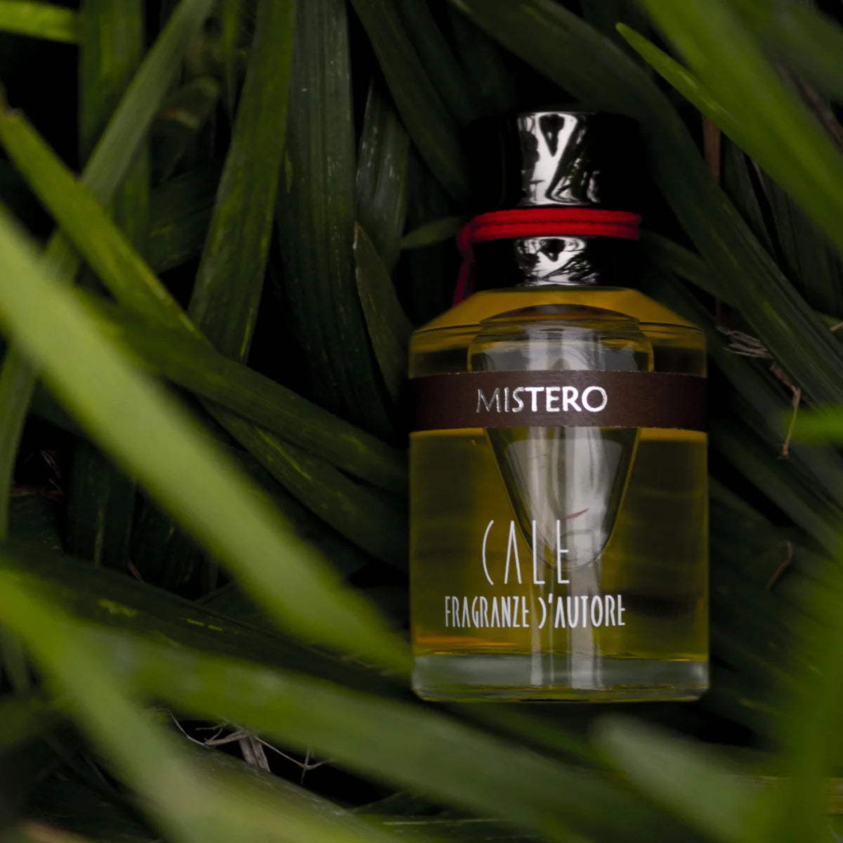Calé Fragranze d'Autore - Mistero Flakon mit rotem Band eingebettet in grünes Blattwerk, mystisch und elegant präsentiert