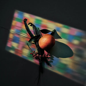 Kinetic Perfumes - Mosaic zeigt Mandarine, Vanilleschoten und Blätter vor buntem Mosaiklichtspiel