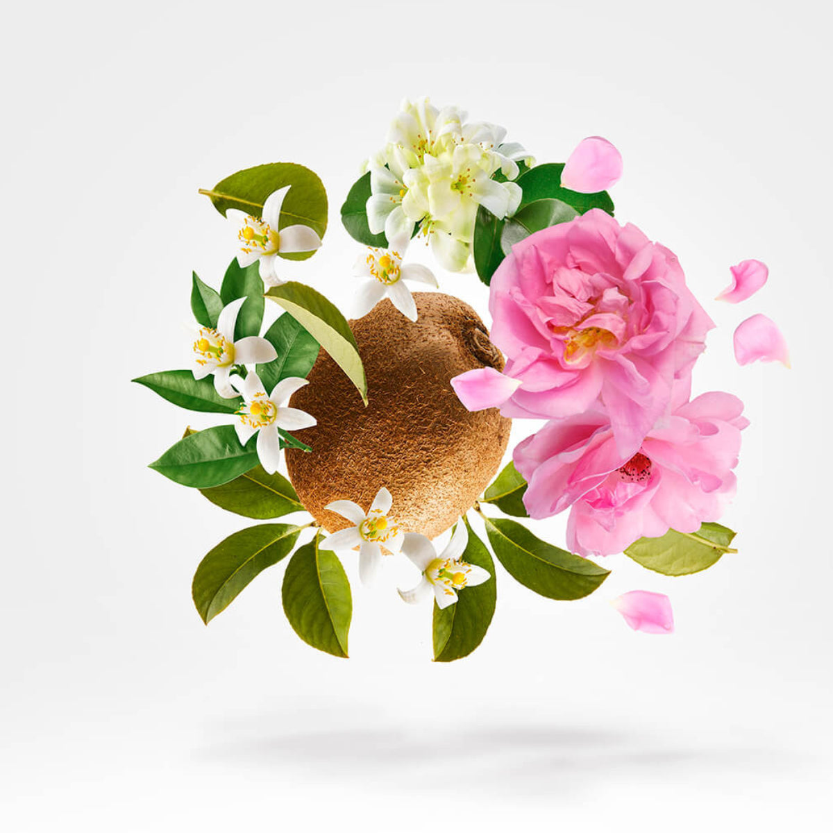Xerjoff - Shooting Stars - Oesel Komposition aus Blumen, Zitrusfrüchten und grünen Blättern auf hellem Hintergrund