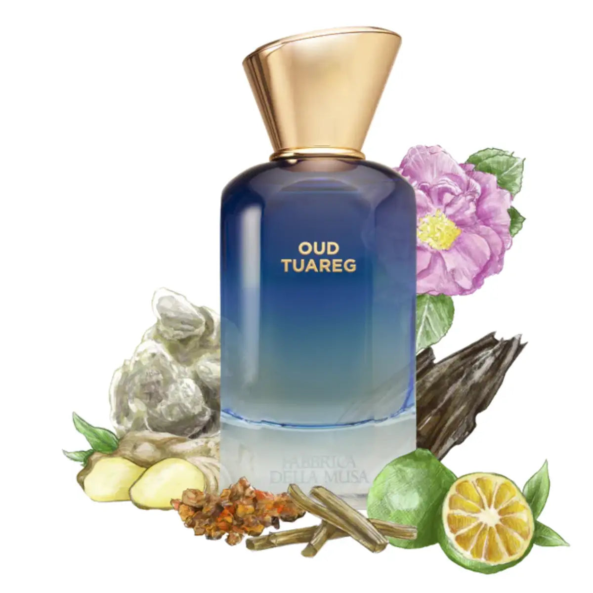 Fabbrica della Musa - Oud Touareg Parfümflakon mit blauem Farbverlauf und goldenem Verschluss vor Duftnoten-Illustration