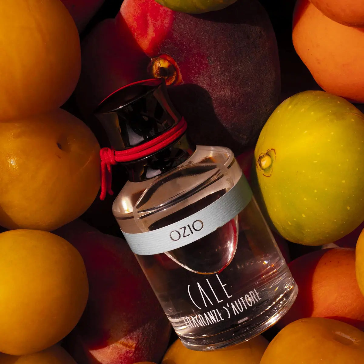 Calé Fragranze d'Autore - Ozio Flakon mit schwarzem Verschluss und rotem Band umgeben von frischen Früchten