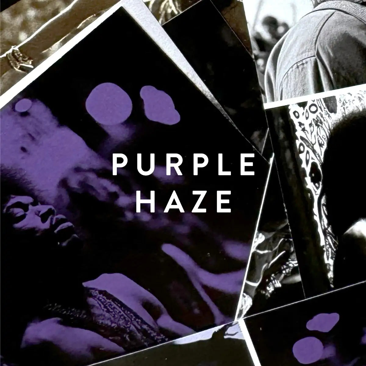 19-69 - Purple Haze Werbemotiv mit violettem Design und stilisiertem Porträt vor dunklem Hintergrund