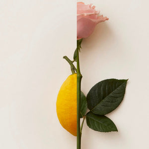 New Notes - Contemporary Blend Collection - Rosa Limone zeigt halbe Zitrone und halbe rosa Rose auf hellem Hintergrund