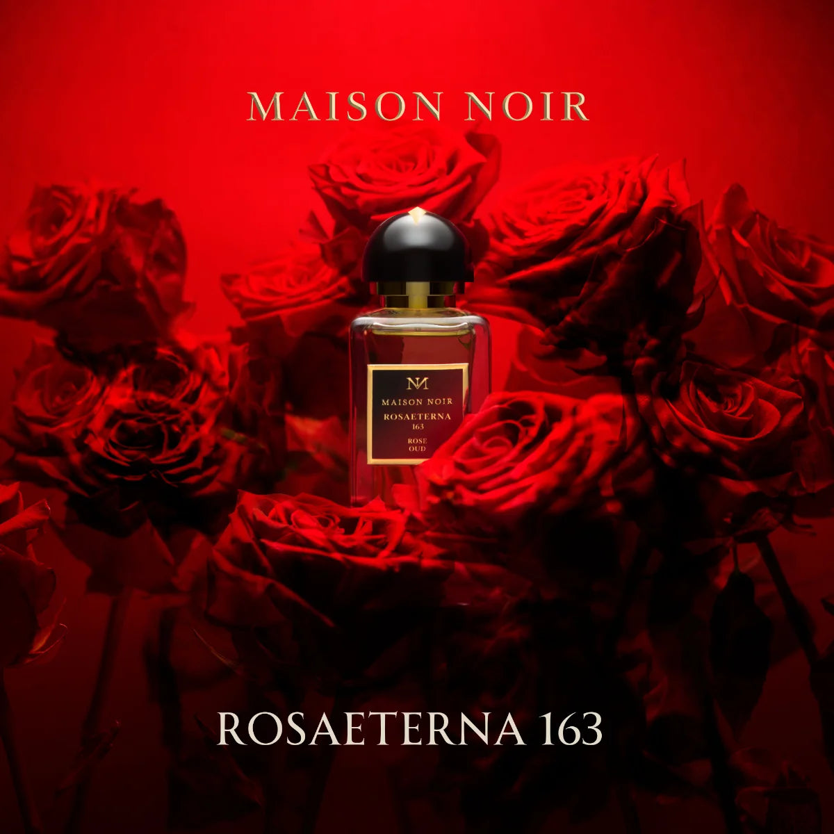 Maison Noir - RosaEterna 163 präsentiert Flakon vor leuchtend roten Rosen und tiefrotem Hintergrund elegant inszeniert