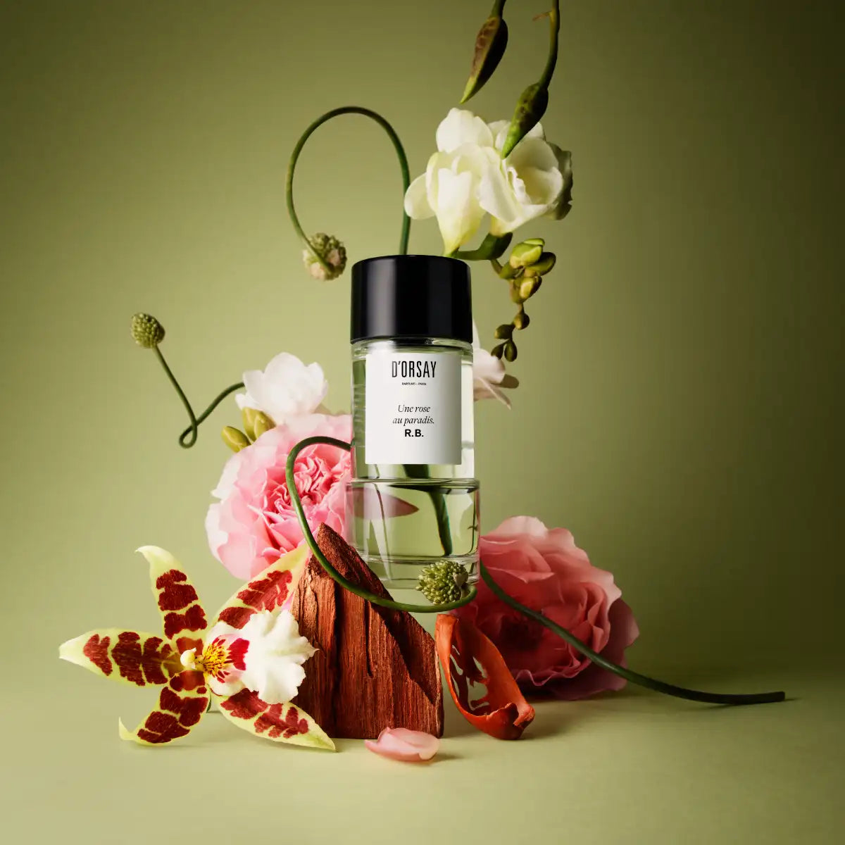 D'Orsay - Rose Paradis. R.B