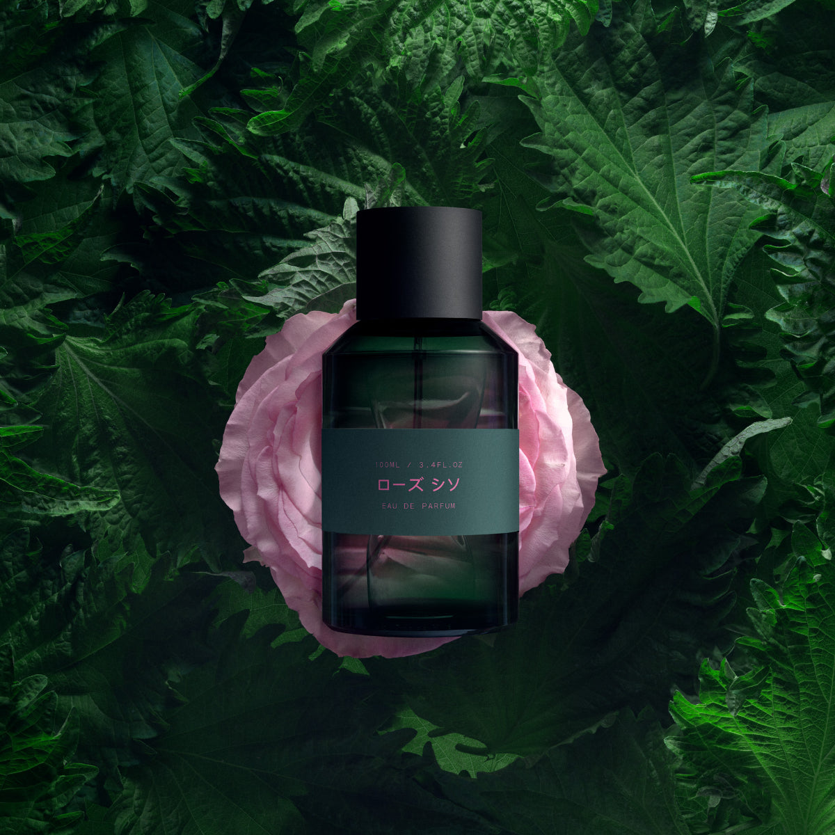 Marie Jeanne - Rose Shiso Parfumflakon in dunklem Glas auf rosa Blüte umgeben von grünen Shiso-Blättern