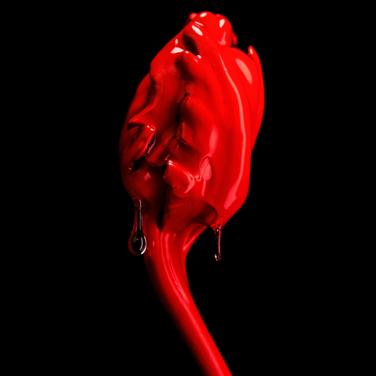 Byredo - Rose of no Man's Land - Absolu de Parfum symbolisiert die kraftvolle Essenz der leuchtend roten Rose mit Tropfen vor schwarzem Grund