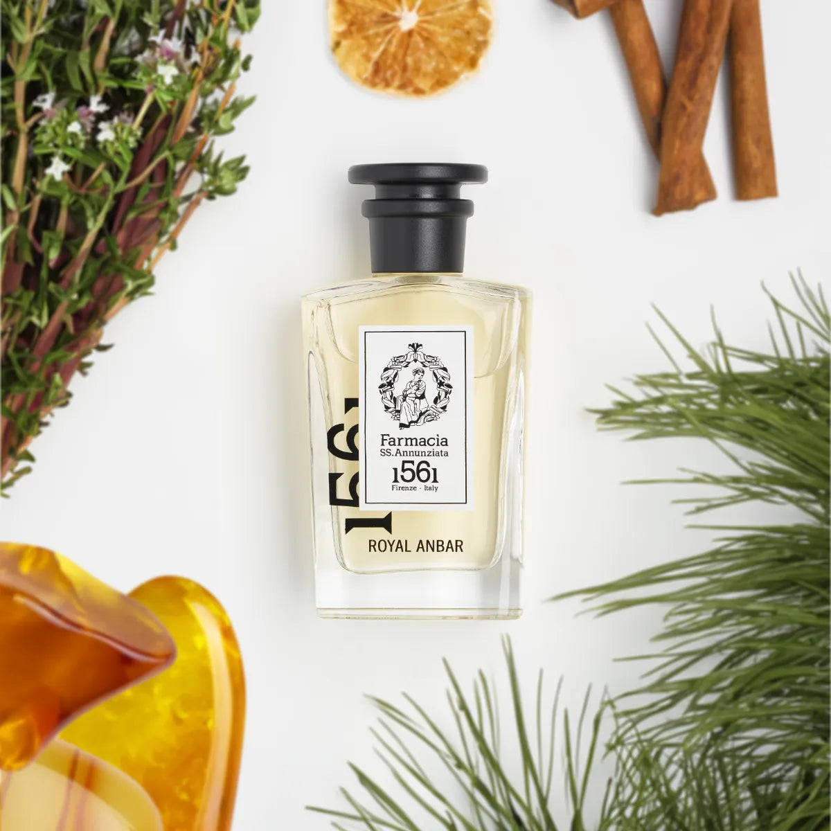 Farmacia SS. Annunziata - Royal Anbar Parfümflakon mit klarem Glas und schwarzem Verschluss umgeben von Naturmaterialien auf weißem Hintergrund