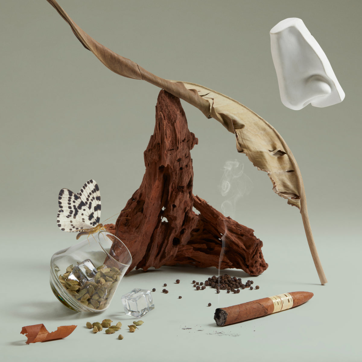 Penhaligon's - Portraits - The Blazing Mister Sam Stillleben mit Tabak, Rauchstengel, Schmetterling, Ohr und Holzstück vor neutralem Hintergrund