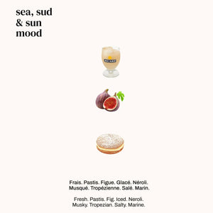 Versatile - Sea, Sud & Sun Komposition mit Glas Pastis, frischer Feige und cremiger Süßspeise auf hellem Hintergrund