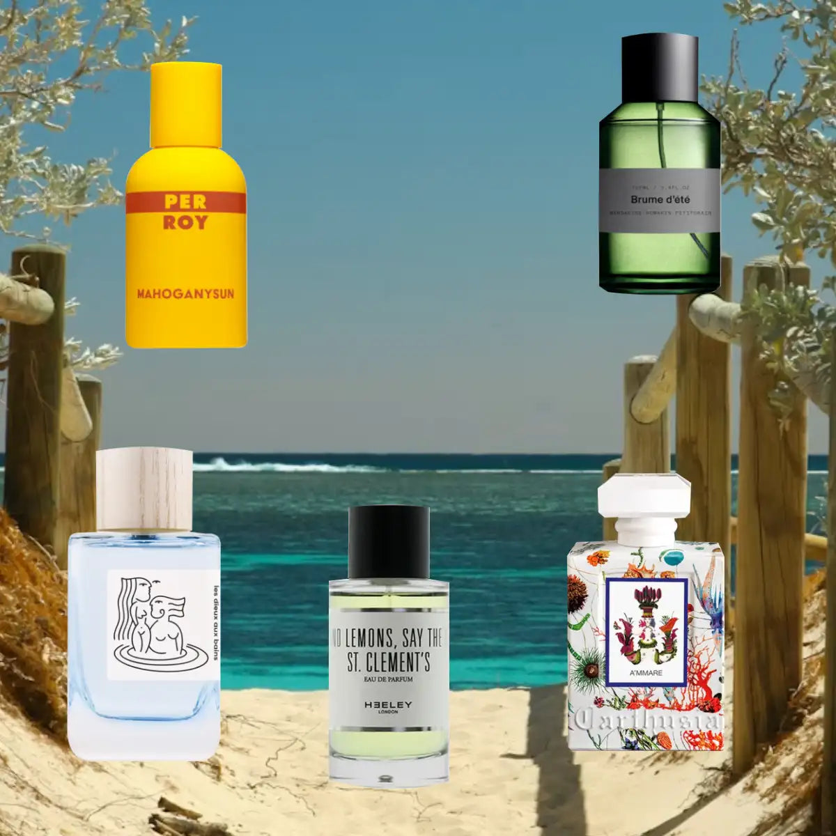 Aus Liebe zum Duft - Sample Set - Sea, Sun & Citrus