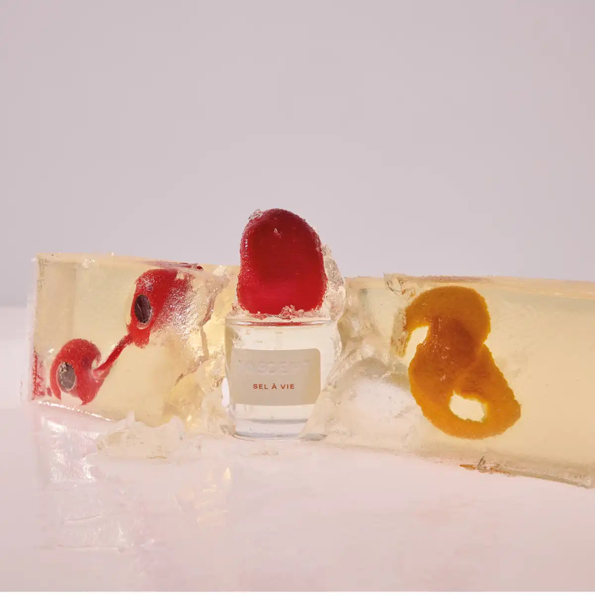 Fascent - Sel à Vie Parfum mit klarer Flasche, rotem Akzent und in transparentem Gel mit natürlichen Elementen eingebettet