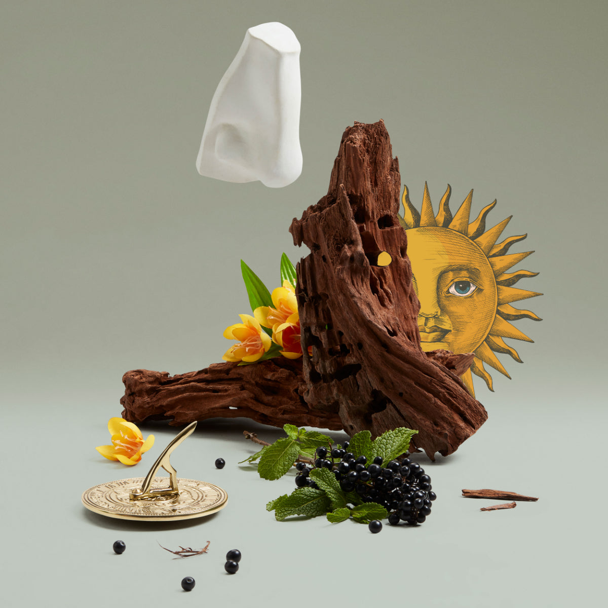 Penhaligon's - British Tales - Solaris zeigt künstlerische Komposition mit Holz, dunklen Beeren und stilisierter Sonne im Hintergrund
