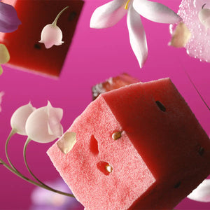Andrea Maack Parfums - Solstice zeigt künstlerische Komposition mit Rosenduftblüten und würzigem Herbwürfel vor pinkem Hintergrund