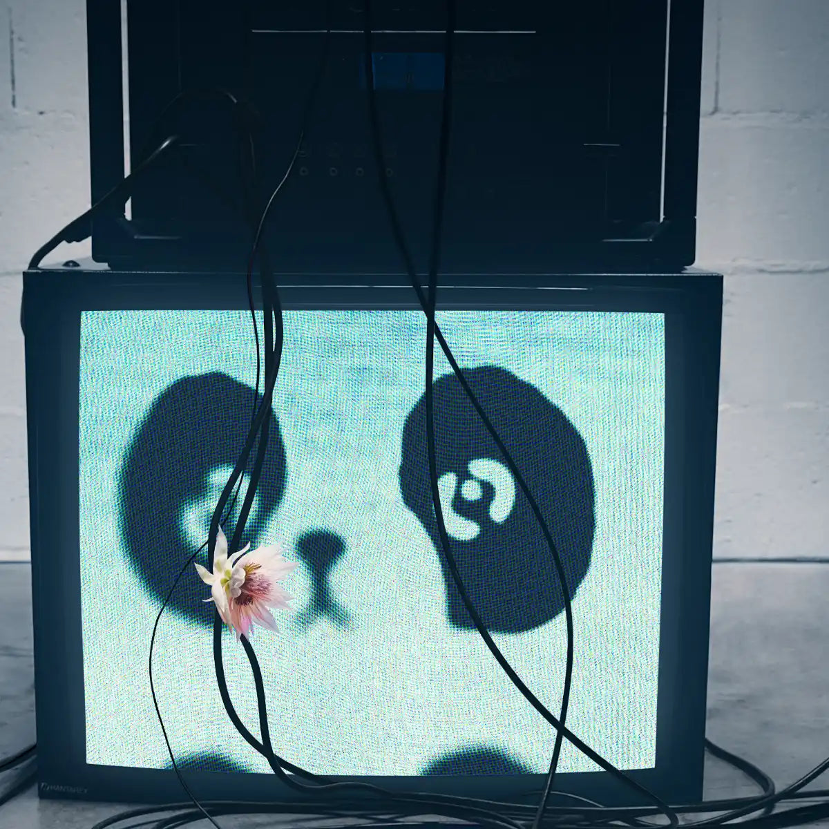 Clive Christian - Addictive Arts: Strange Heavens - Out of the Blue mit Fernseher, Kabeln und Blüte im künstlerischen Ambiente