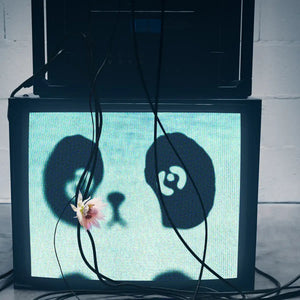 Clive Christian - Addictive Arts: Strange Heavens - Out of the Blue mit Fernseher, Kabeln und Blüte im künstlerischen Ambiente