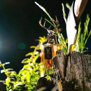 Pana Dora Sweden - Swedish Wood Parfumflakon mit Hirschkopf auf Baumstumpf in natürlicher Waldumgebung