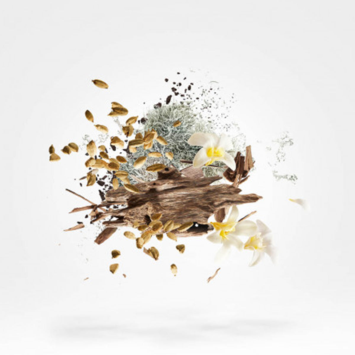 Xerjoff - XJ 17/17 - Stone Label - Symphonium mit warmen Holznoten und zarten Blüten in mystischer Komposition
